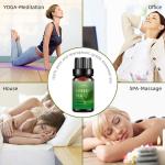 10ml Organic Green Tea Essential Oil Perfume 100% Pure Natural Essential Oil ODM