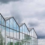 Farming Venlo Aluminum Frame Glass Greenhouse For Agriculture Growing
