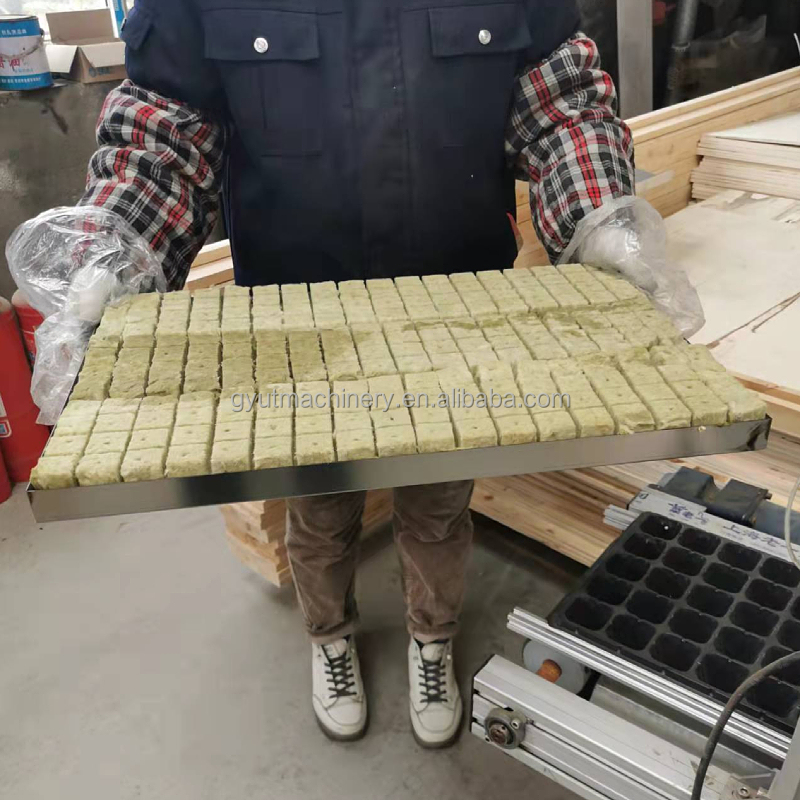 Hydroponic Sponge Seed Planter Line for Seeding Cucumbers and Squash Automatically