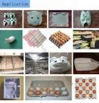 Forming Paper Pulp Molding Machine