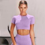 Nylon Spandex Solid Seamless Sports Bra Activewear XL XXL WomenYoga Tops