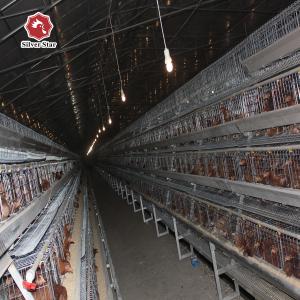 China Hens Layer Egg Chicken Cage Automatic Feeding System wholesale