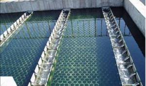 China FRP Material Lamella Tube Settler For Industrial Wastewater Treatment wholesale