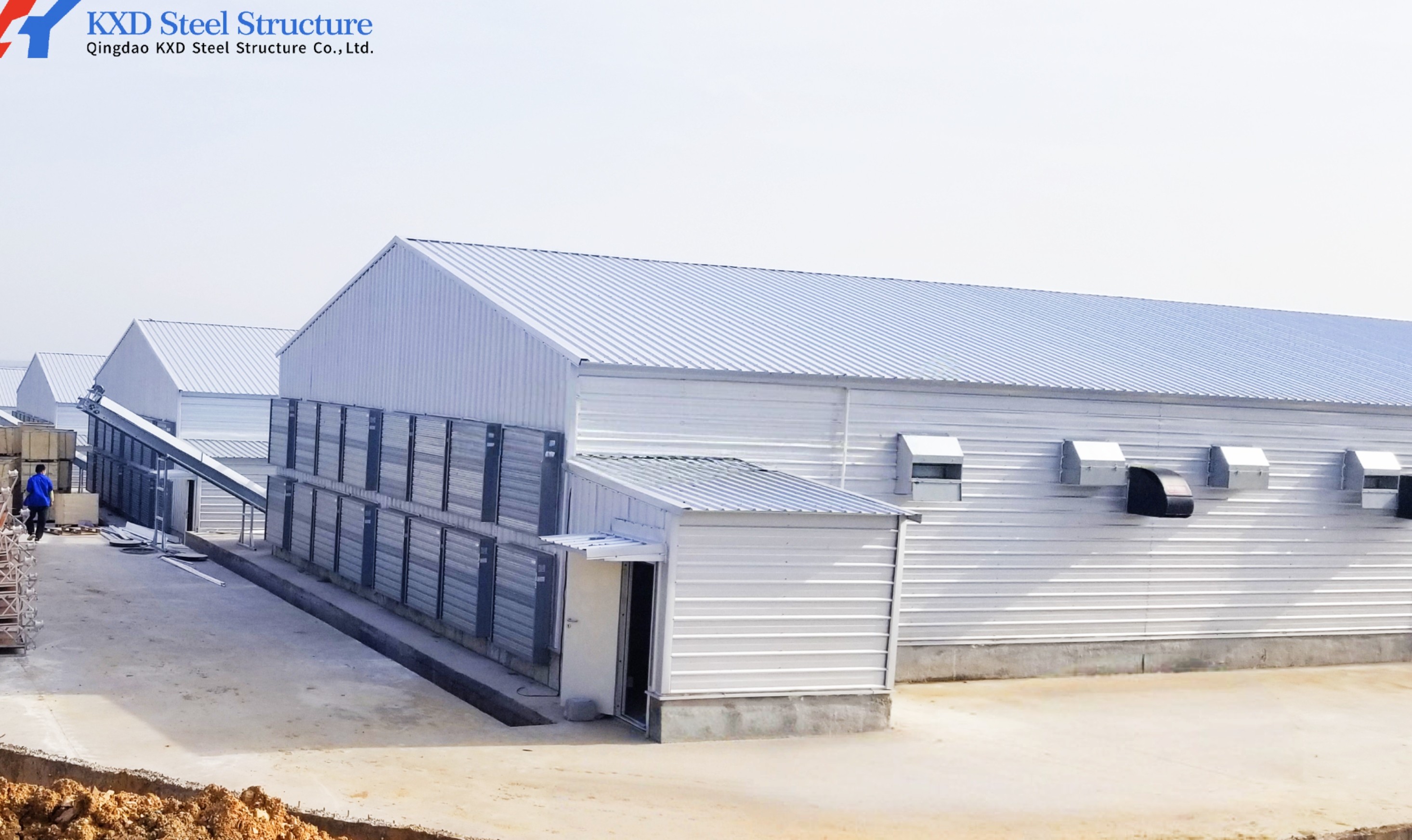 Automatic Poultry Farm Chicken House Feeding Line A Type Layer Chicken Cage Equipment