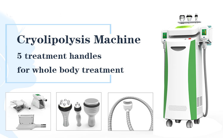 China professional factory price vertical five handles cryolipolysis machine model NBW-C325