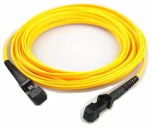 China Single Mode Fiber Patch Cord MTRJ To MTRJ 2mm Length wholesale