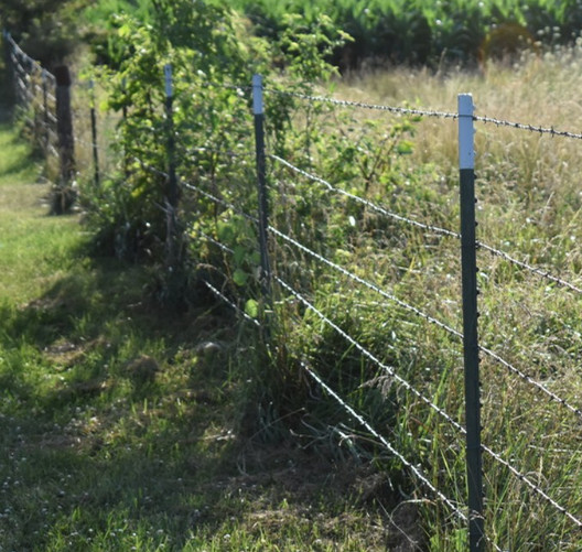 galvanized barbed wire galvanized barbed wire price 250m per roll dutch net metal guardrail enclosure barbed wire tbar stretch tool for barb wire Ce