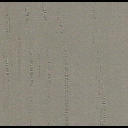 China Ductility PP Decorative Film Substrate Surfaces With Misty Rain Grain wholesale