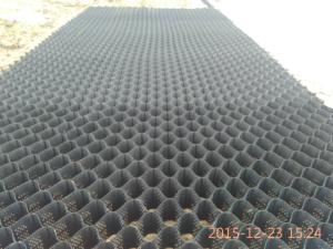China 100mm HDPE Gravel Pebble Stabilizer Geocell For Driveway wholesale