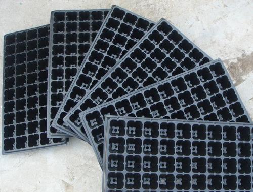 seedling tray --cheap price & high quality