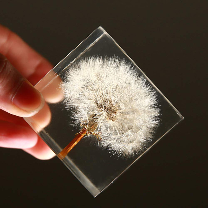 Cubic acrylic resin paper weight with insect and flowers inside acrylic paperweight
