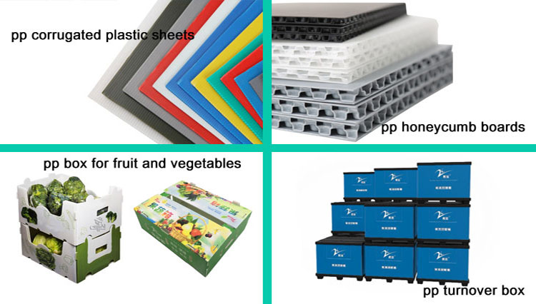 5mm 6mm Correx PP Plastic Boxes For Fruits And Vegetables