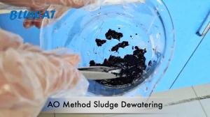 China Anoxic Oxic AO Method Sludge Dewatering Anionic Polyacrylamide wholesale