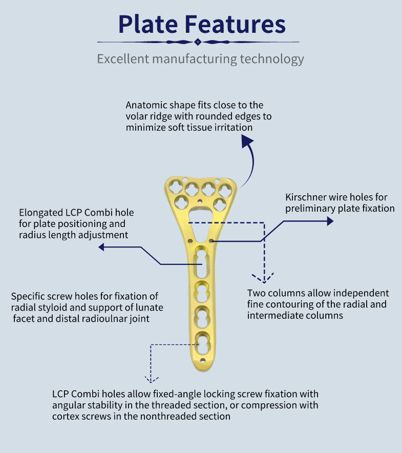 Class II Multi Axial Distal Variable Angle Locking Plate
