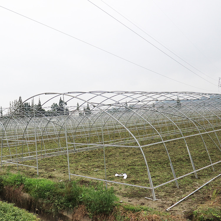 Side Ventilation Tunnel Plastic Greenhouse Cold And Wind Resistant