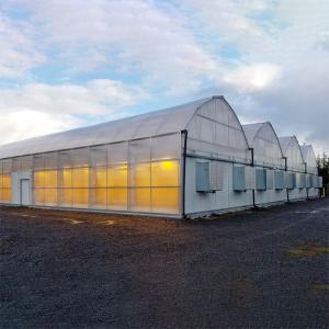 China Agriculture Hemps Growing Light Deprivation Greenhouse Automated Blackout wholesale