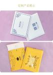 Eco-friendly express & portfolio paper bag - comply with ROHS