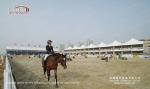 Aluminum and PVC High Peak Double Decker Tents Used for Horse Riding and Outdoor