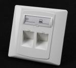 Germany Type 86*86 45 Degree Wall Mount Socket Double Port Face Plate With