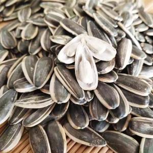 China 2024 years factory wholesale raw sunflower seeds wholesale
