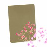 3.0mm Mirror 304 Black Decorative Stainless Steel Sheet Gold Nano Stainless