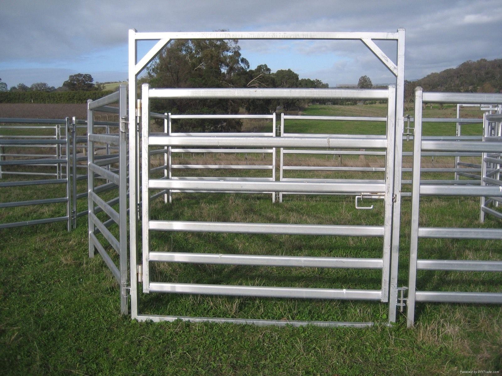 30-40 Head 50x50 High Visibility Livestock Cattle Yard Panels