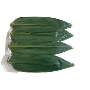 China Fresh Bamboo Leaves 24 Month Shelf Life Guaranteed wholesale