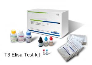China TriiodothyronineT3 Elisa Kit Test Goat - Anti - Mouse Antibody Coated Microtiter Wells wholesale