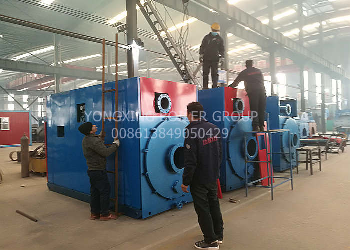 Safety Value 2t Gas Fired Steam Boiler For Palm Oil Processing Plant