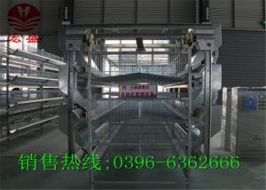 China Commercial Automatic Egg Collection System / Durable Egg Collector Machine wholesale