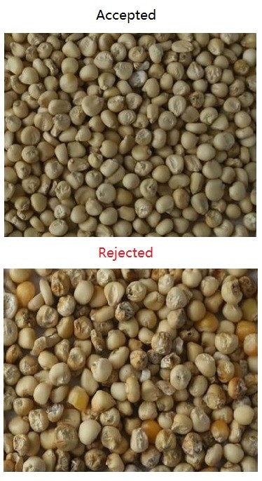 High Speed Image Pulses Corn Sorting Machine