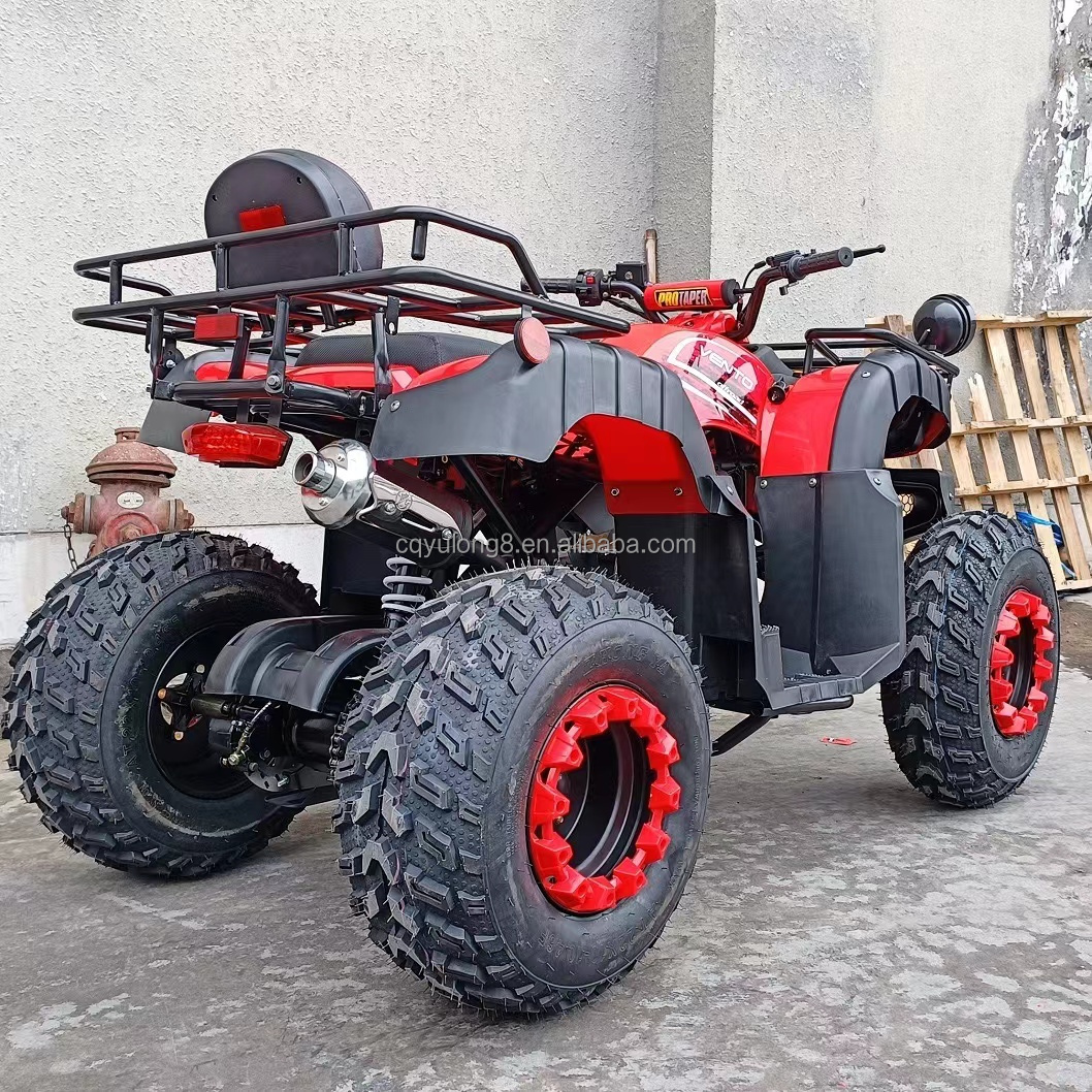 10 Inch Tire Size Customized Logo 200cc 250cc ATV Adult 4 Wheel UTV Off-Road Quad Bike