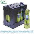 PP/PE plastic box for Fruits and vegetables