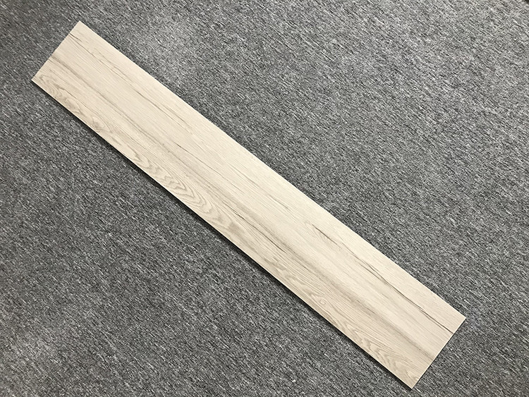 Modern Porcelain Tile Flooring Wood Look Full Body Garden