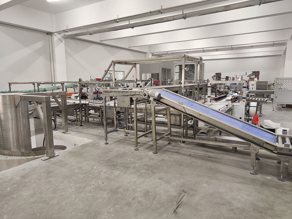 Fully Automatic Cartoning And Palletizing Production Line