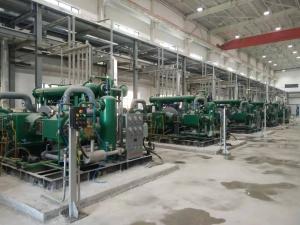 China Stainless Steel Gas Cryogenic Hydrogen Purifier Compression Skid wholesale