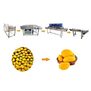 China Continuous Food Drying Machine Fruit Bubble Washing Processing Line wholesale