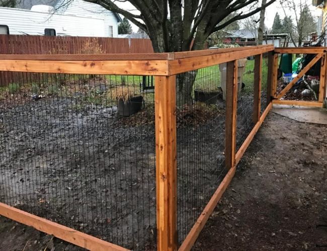 4ft X 50ft PVC Coated Welded Mesh Rolls For Garden Guard Barrier