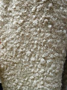 China Camel Cut Flower Warp Knitted Fabric 610gsm wholesale