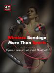 Wireless Bluetooth Earphone 10 Hours Playtime with Microphone Sport Stereo V4.1