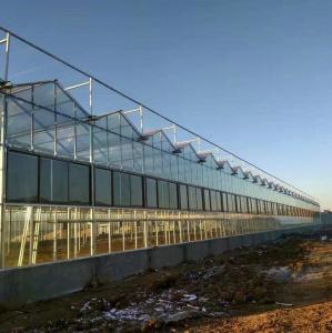 China Large Prefabricated Outdoor And Indoor Backyard Glass Greenhouse For Flower Growing wholesale