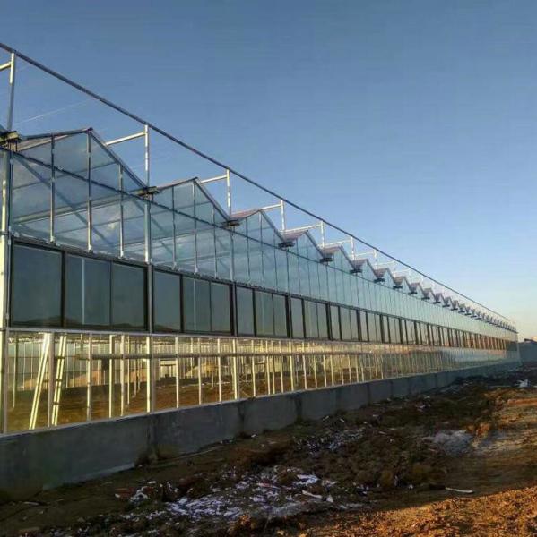 Large Prefabricated Outdoor And Indoor Backyard Glass Greenhouse For Flower
