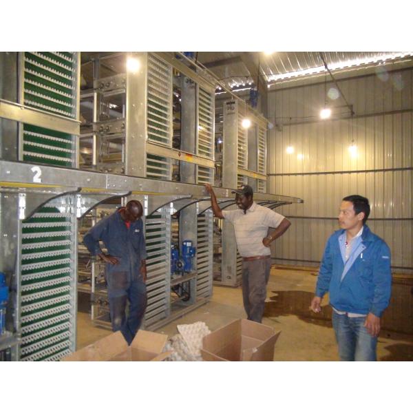 Welded Wire H Type Layer Chicken Cage Q235A Galvanized 2mm Chicken Farm Cage