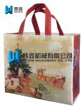 Custom Printed Logo Gift Non Woven Gift Shopping Bag For Christmas festival