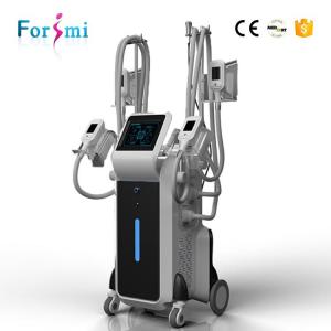 China 10.4 inch touch screen freezing fat cells cost sculpting Cryolipolysis Fat freeze Slimming Machine wholesale
