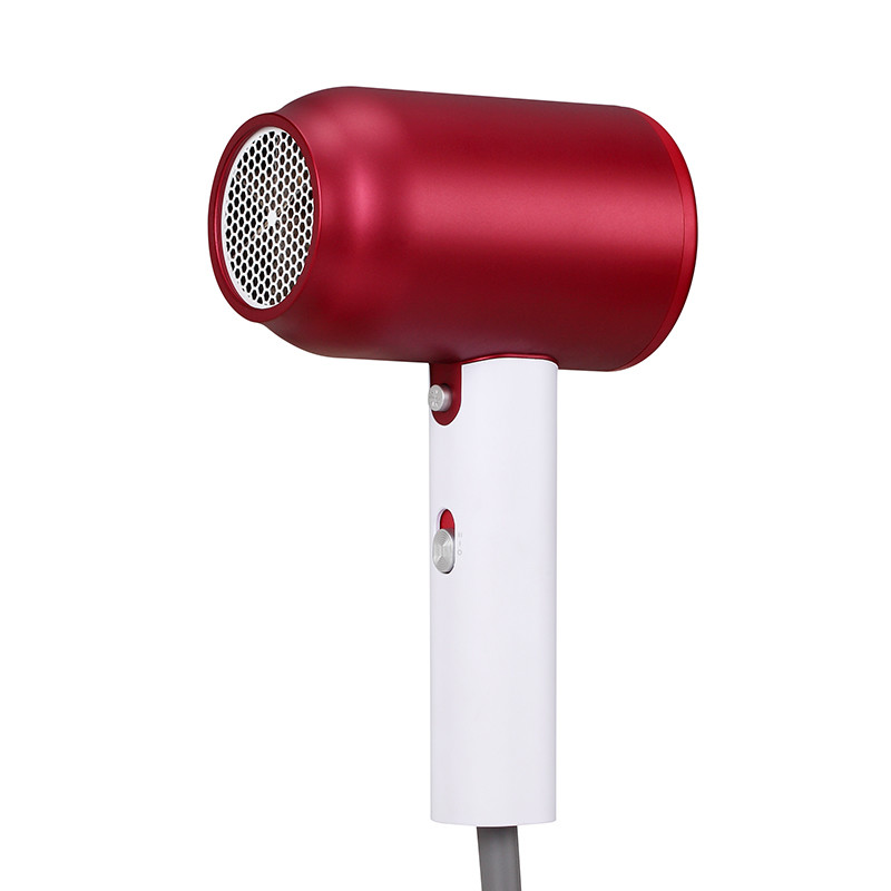 1500W Professional Ionic Hair Dryer 50/60 Hz Portable for Hair Care