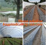 Stretch Film Type and Agricultural Packaging Film Usage LLDPE Silage Film/bale