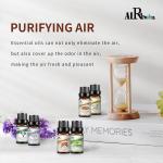 6pcs Aromatherapy Essential Oil Set 0.3kg 100% Pure Essential Oil Gift Set COA