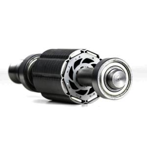 China Shaft Magnetic Motor Assembly , AlNiCo Radial Ring Magnet ROHS REACH wholesale