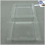 Disposable Fruit Packaging Box-Factory Offer Disposable Plastic takeaway